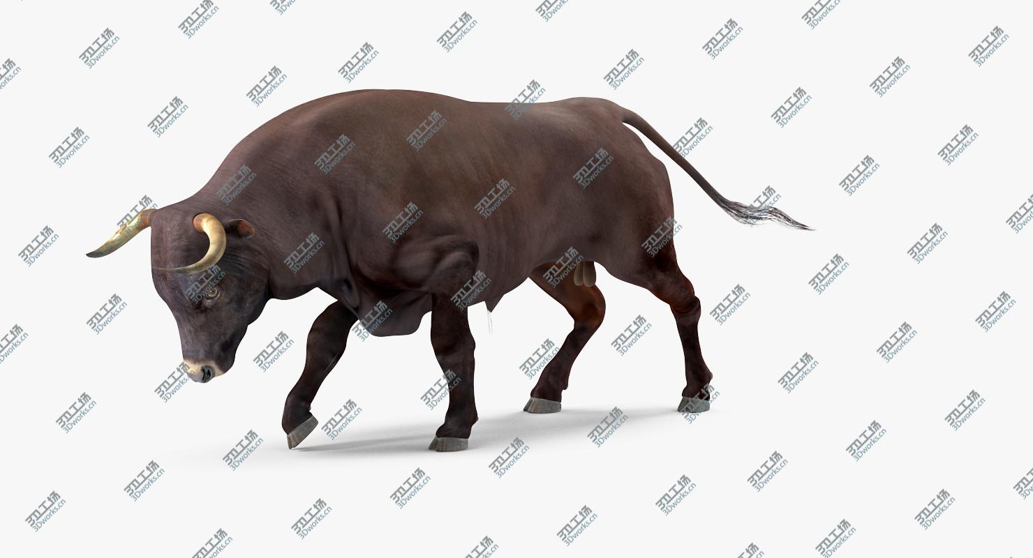 images/goods_img/202105074/3D Bull Attacking Pose/3.jpg